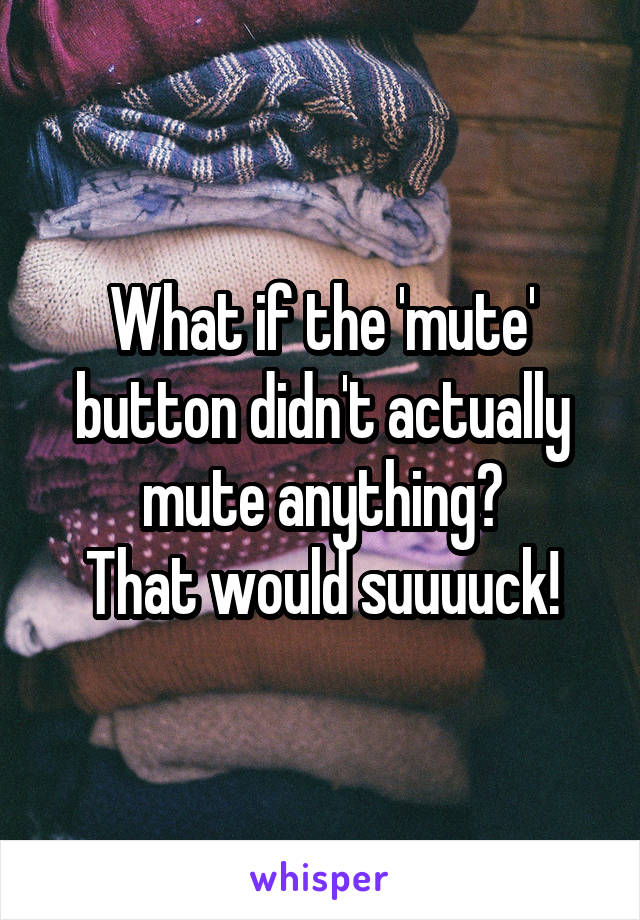 What if the 'mute' button didn't actually mute anything?
That would suuuuck!