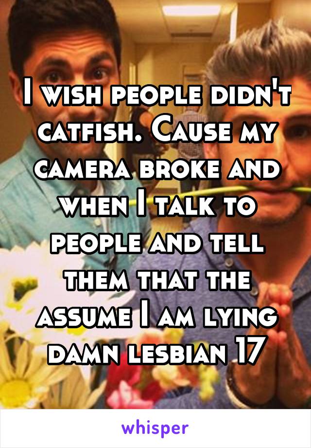 I wish people didn't catfish. Cause my camera broke and when I talk to people and tell them that the assume I am lying damn lesbian 17