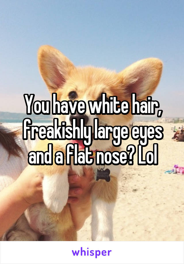 You have white hair, freakishly large eyes and a flat nose? Lol