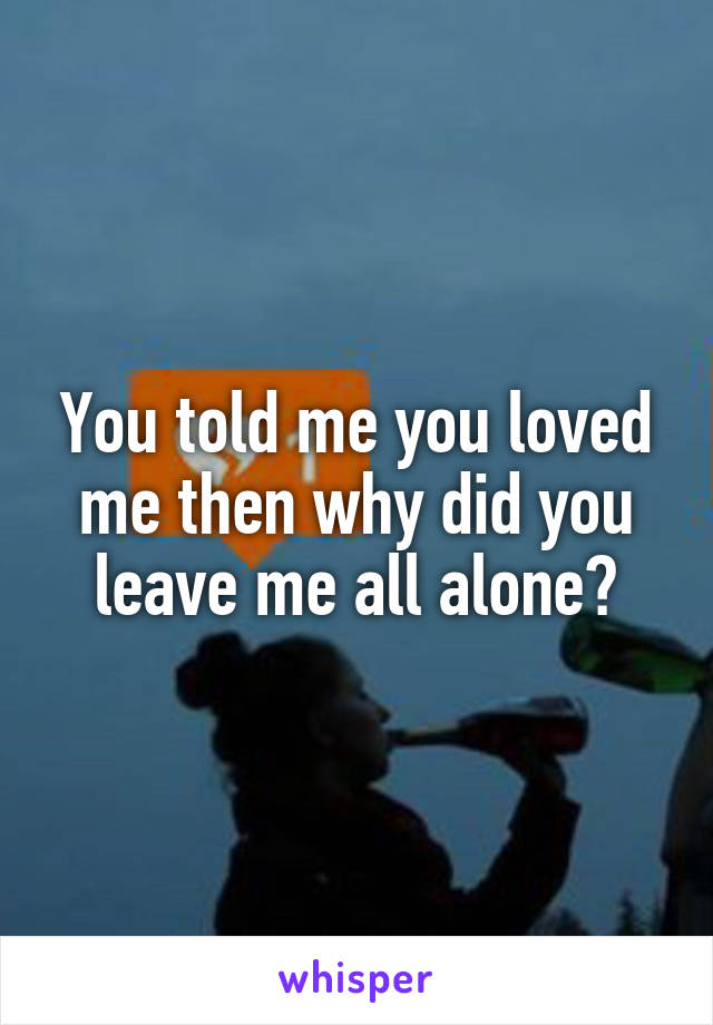 You told me you loved me then why did you leave me all alone?