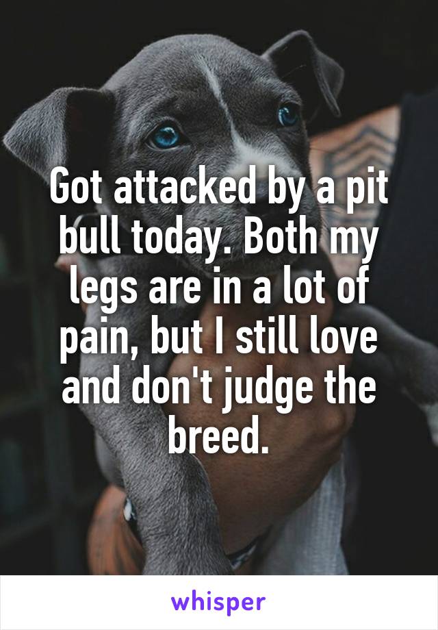 Got attacked by a pit bull today. Both my legs are in a lot of pain, but I still love and don't judge the breed.