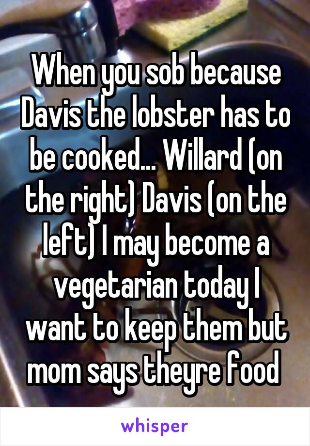 When you sob because Davis the lobster has to be cooked... Willard (on the right) Davis (on the left) I may become a vegetarian today I want to keep them but mom says theyre food 