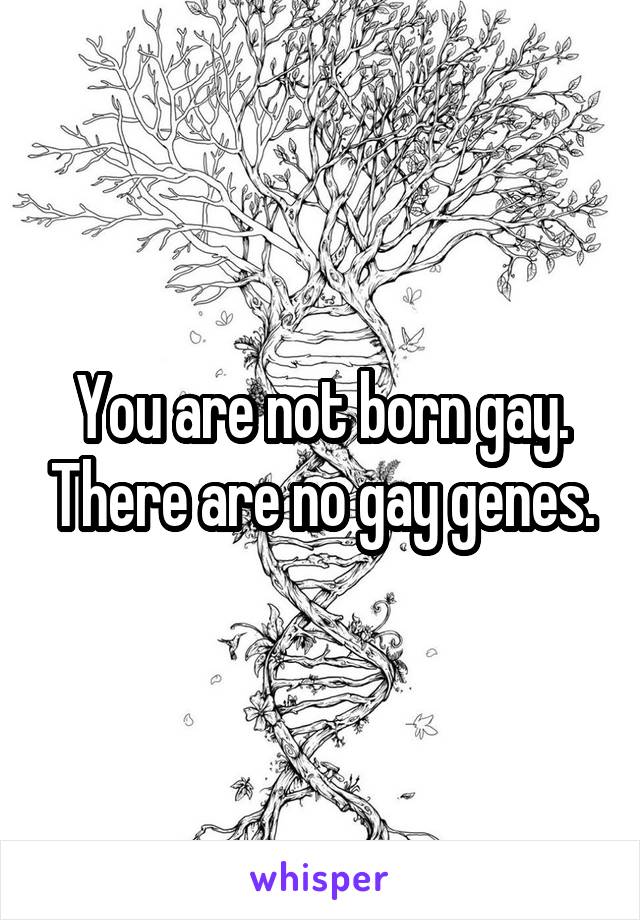 You are not born gay. There are no gay genes.