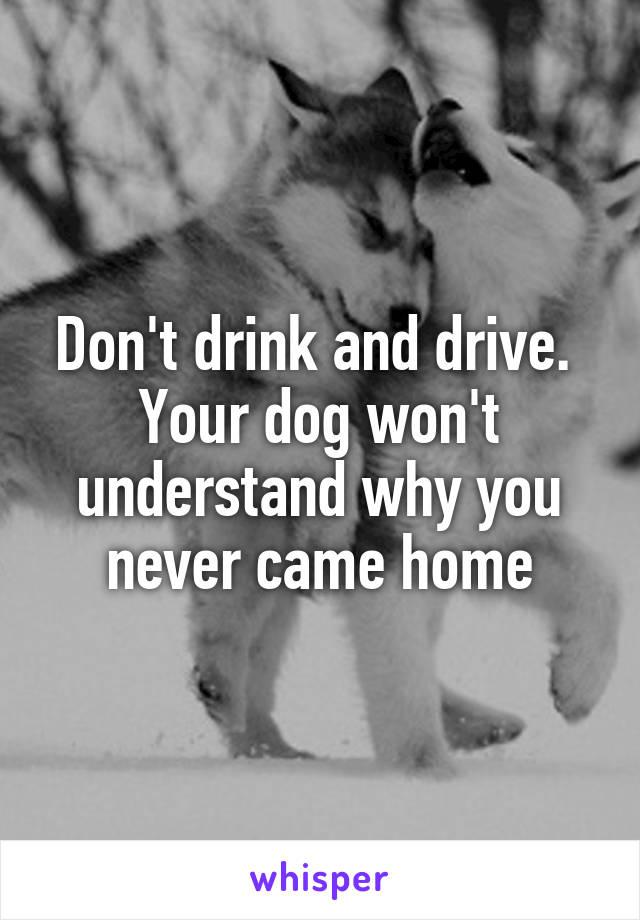 Don't drink and drive. 
Your dog won't understand why you never came home