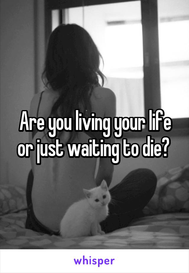 Are you living your life or just waiting to die? 