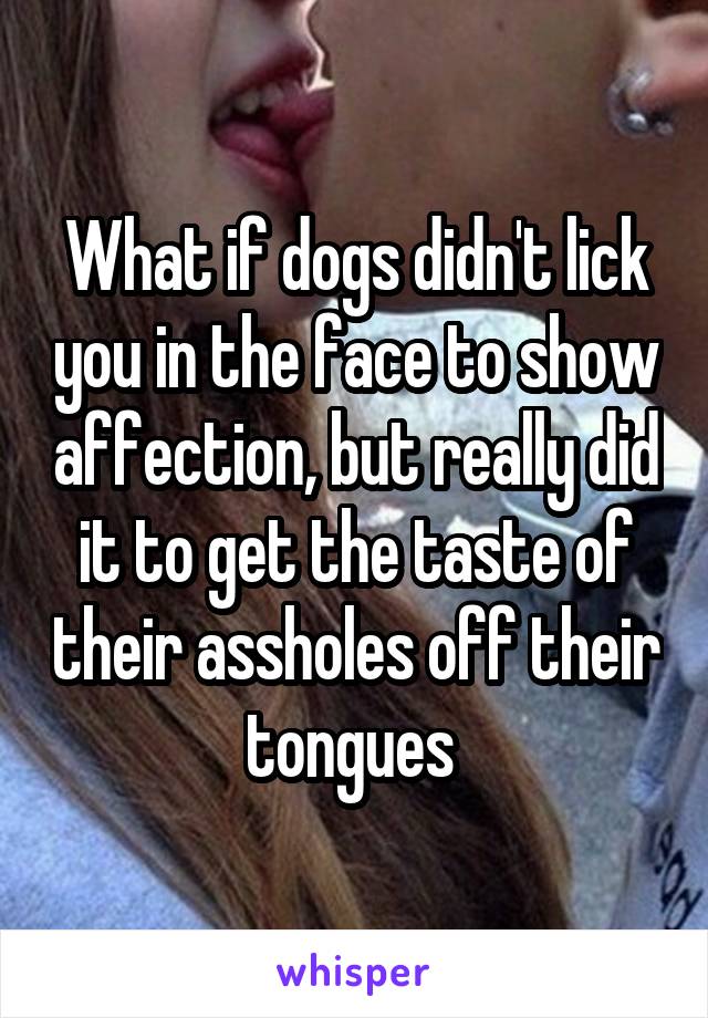 What if dogs didn't lick you in the face to show affection, but really did it to get the taste of their assholes off their tongues 