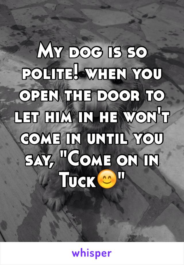 My dog is so polite! when you open the door to let him in he won't come in until you say, "Come on in Tuck😊"

