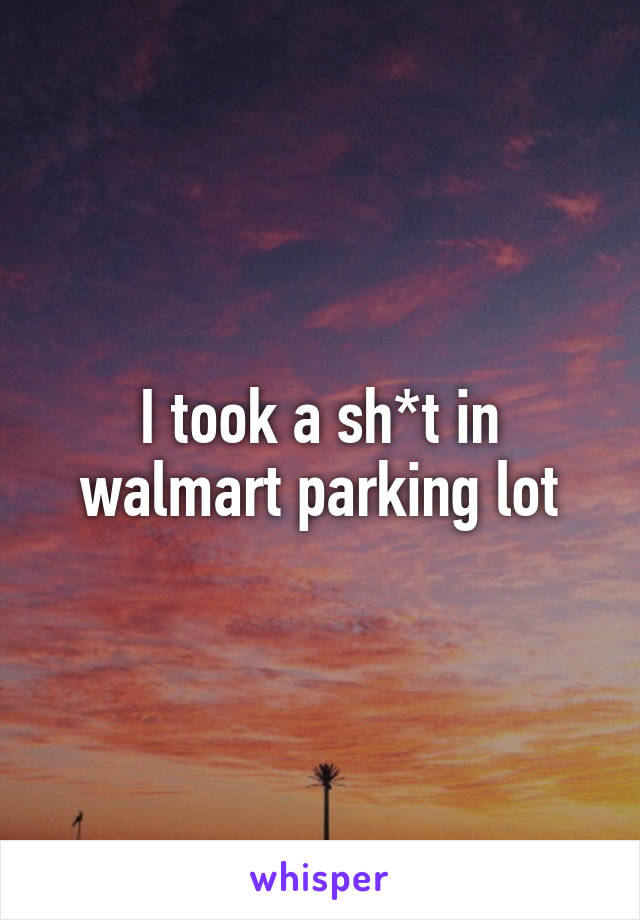 I took a sh*t in walmart parking lot