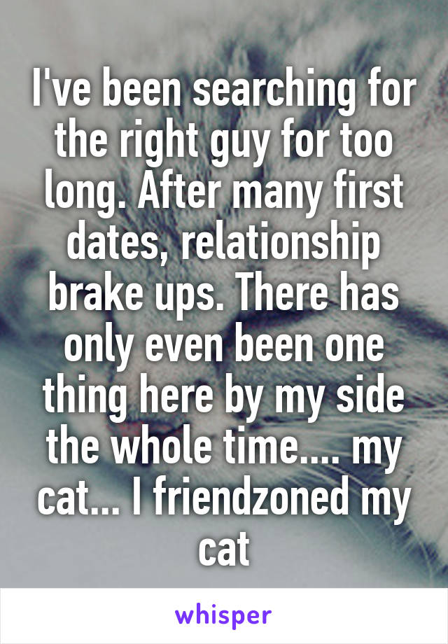 I've been searching for the right guy for too long. After many first dates, relationship brake ups. There has only even been one thing here by my side the whole time.... my cat... I friendzoned my cat