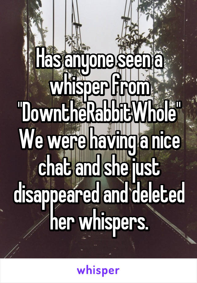 Has anyone seen a whisper from "DowntheRabbitWhole" We were having a nice chat and she just disappeared and deleted her whispers.