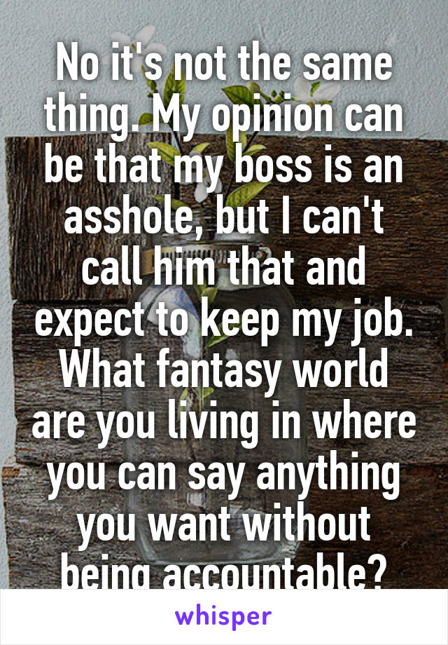 No it's not the same thing. My opinion can be that my boss is an asshole, but I can't call him that and expect to keep my job. What fantasy world are you living in where you can say anything you want without being accountable?