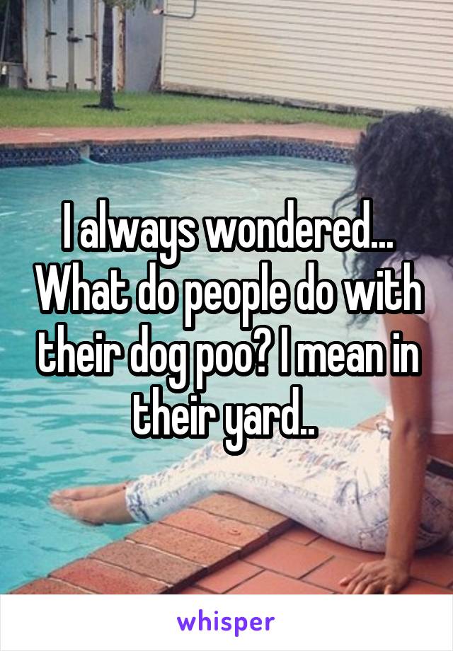 I always wondered... What do people do with their dog poo? I mean in their yard.. 