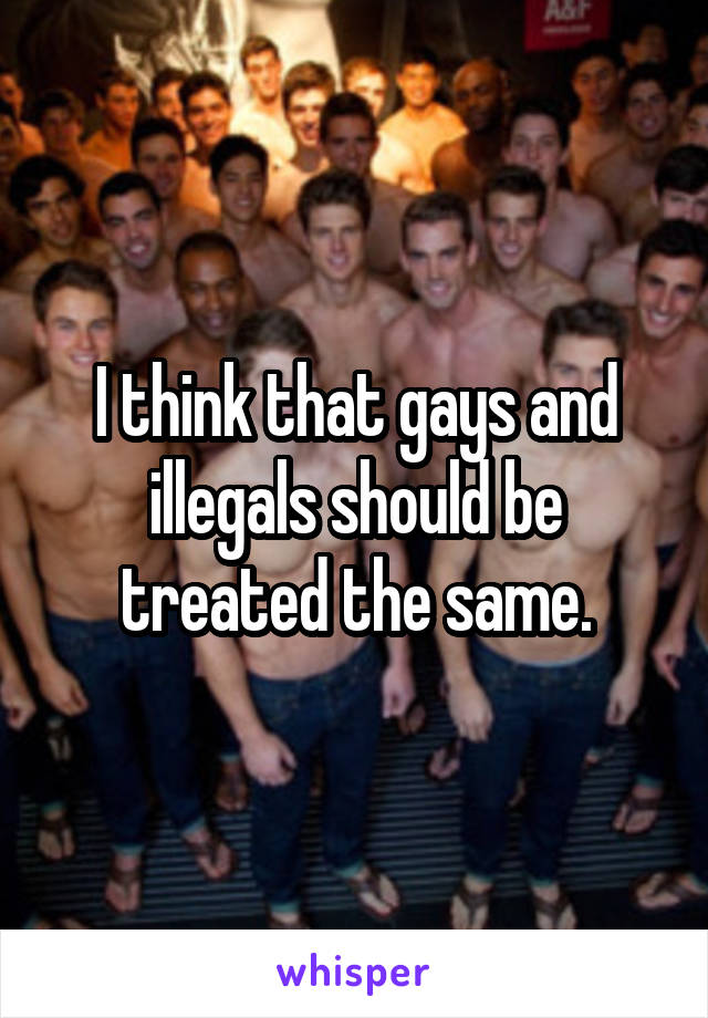 I think that gays and illegals should be treated the same.