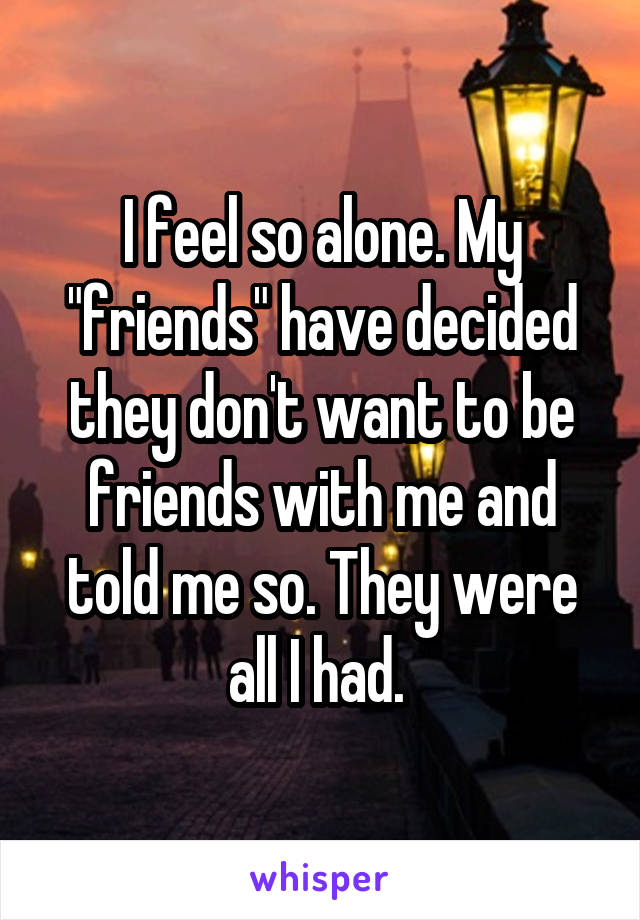 I feel so alone. My "friends" have decided they don't want to be friends with me and told me so. They were all I had. 