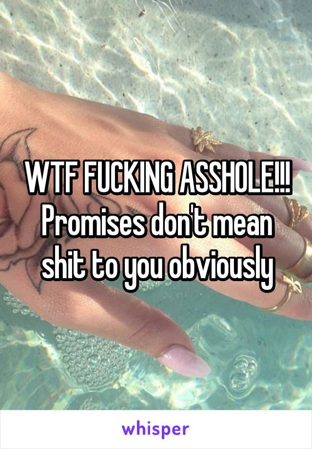 WTF FUCKING ASSHOLE!!!
Promises don't mean shit to you obviously