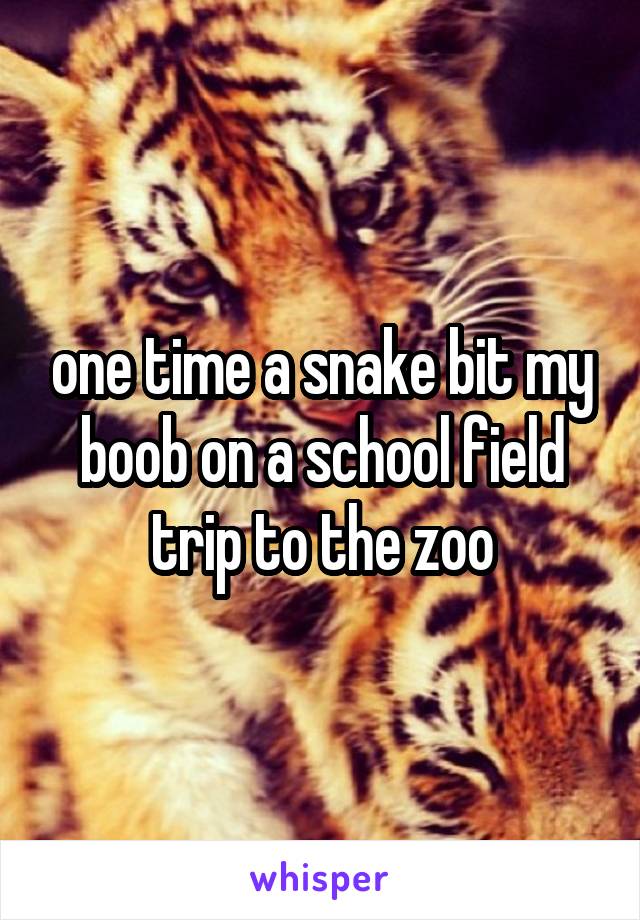 one time a snake bit my boob on a school field trip to the zoo