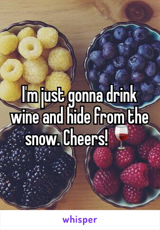 I'm just gonna drink wine and hide from the snow. Cheers!🍷