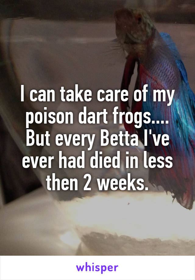 I can take care of my poison dart frogs.... But every Betta I've ever had died in less then 2 weeks.