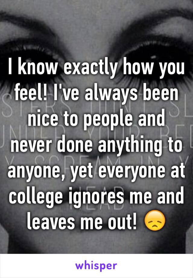 I know exactly how you feel! I've always been nice to people and never done anything to anyone, yet everyone at college ignores me and leaves me out! 😞