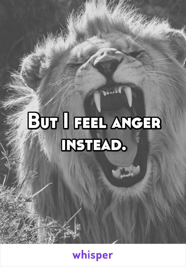 But I feel anger instead.