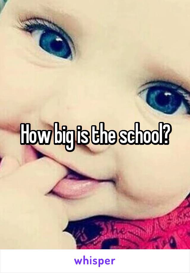 How big is the school?