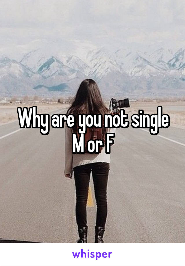 Why are you not single M or F