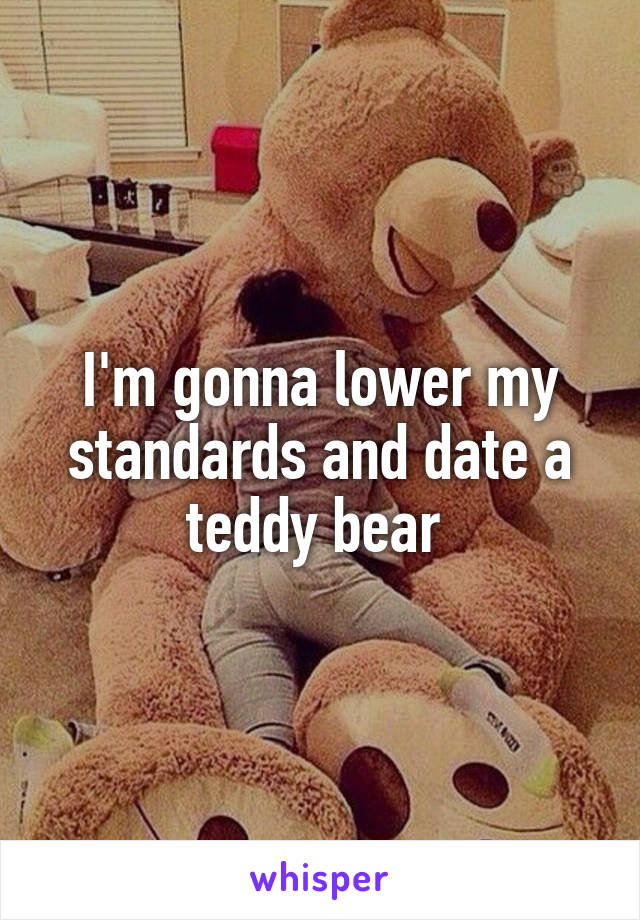 I'm gonna lower my standards and date a teddy bear 