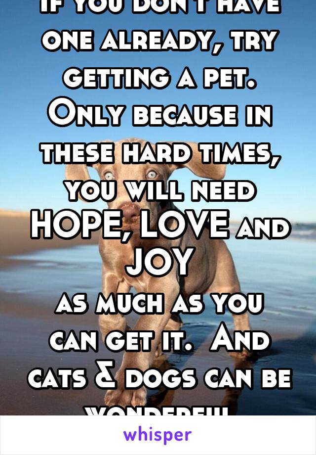 If you don't have one already, try getting a pet.
Only because in these hard times, you will need HOPE, LOVE and JOY
as much as you can get it.  And cats & dogs can be wonderful providers of TLC.