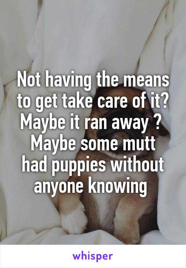 Not having the means to get take care of it? Maybe it ran away ? 
Maybe some mutt had puppies without anyone knowing 