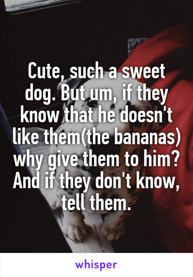 Cute, such a sweet dog. But um, if they know that he doesn't like them(the bananas) why give them to him? And if they don't know, tell them.