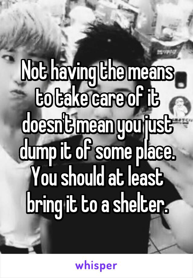 Not having the means to take care of it doesn't mean you just dump it of some place. You should at least bring it to a shelter.