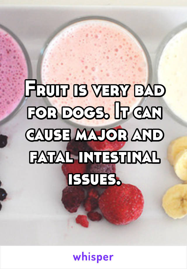 Fruit is very bad for dogs. It can cause major and fatal intestinal issues.