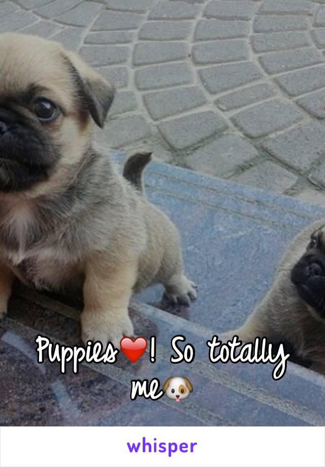 Puppies❤️! So totally me🐶