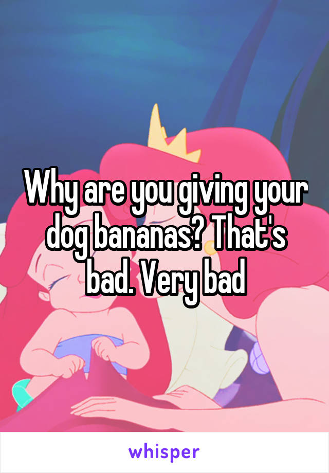 Why are you giving your dog bananas? That's bad. Very bad