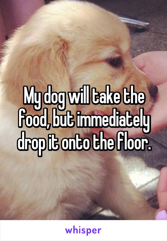 My dog will take the food, but immediately drop it onto the floor.