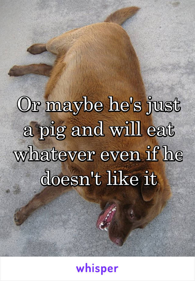 Or maybe he's just a pig and will eat whatever even if he doesn't like it