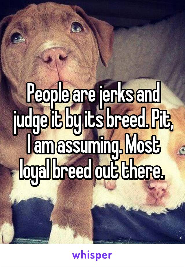 People are jerks and judge it by its breed. Pit, I am assuming. Most loyal breed out there. 