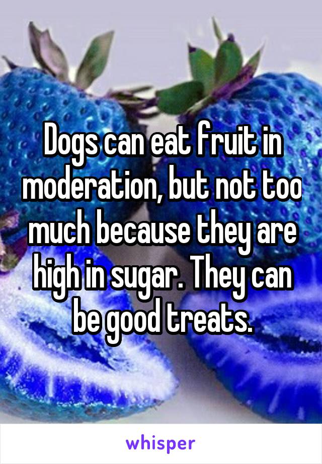 Dogs can eat fruit in moderation, but not too much because they are high in sugar. They can be good treats.