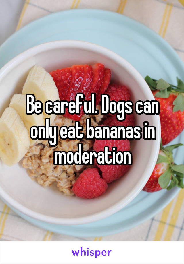 Be careful. Dogs can only eat bananas in moderation