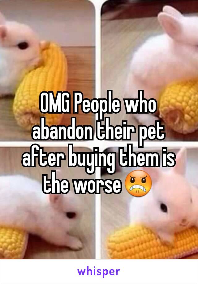 OMG People who abandon their pet after buying them is the worse😠