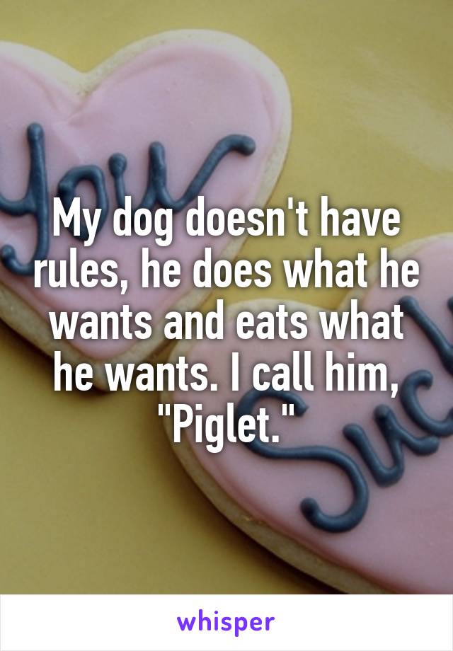 My dog doesn't have rules, he does what he wants and eats what he wants. I call him, "Piglet."