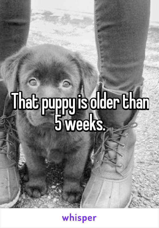 That puppy is older than 5 weeks.