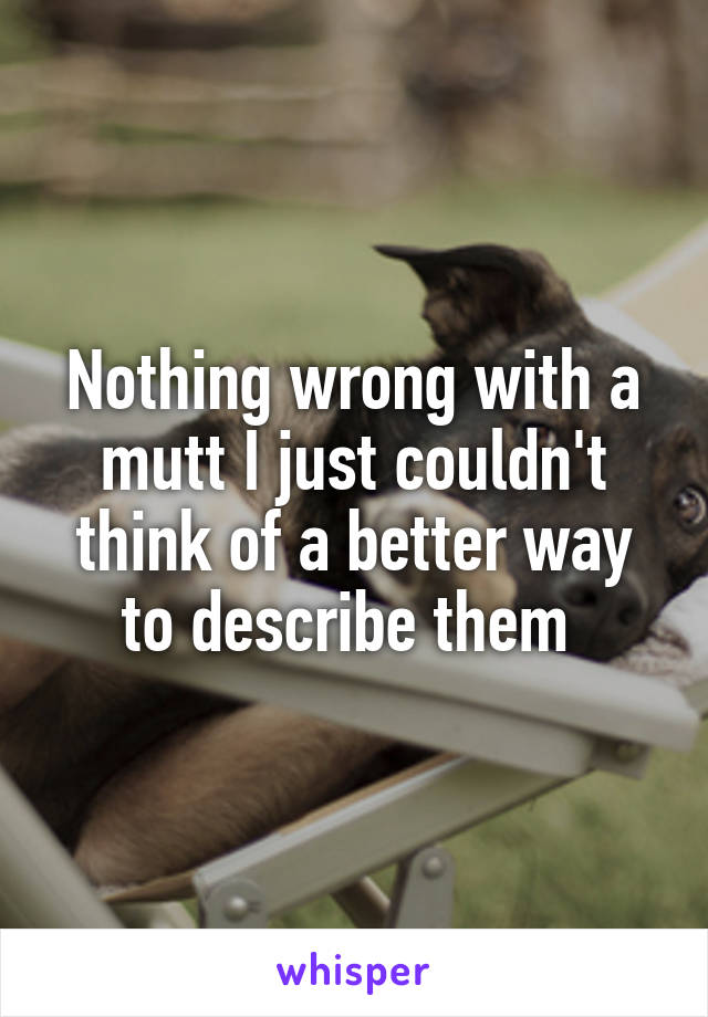 Nothing wrong with a mutt I just couldn't think of a better way to describe them 