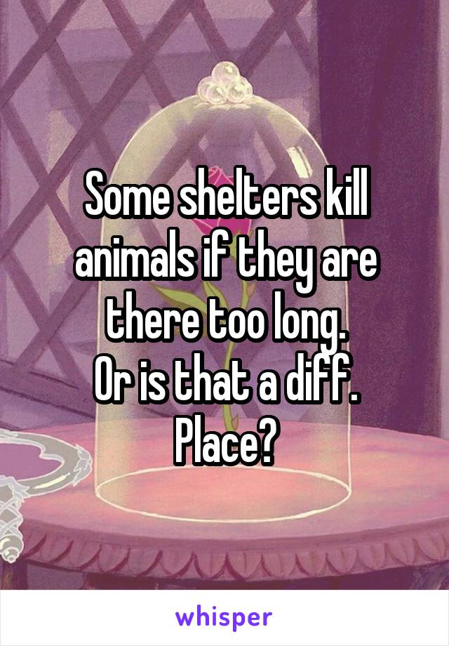 Some shelters kill animals if they are there too long.
Or is that a diff. Place?