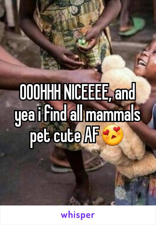 OOOHHH NICEEEE, and yea i find all mammals pet cute AF😍