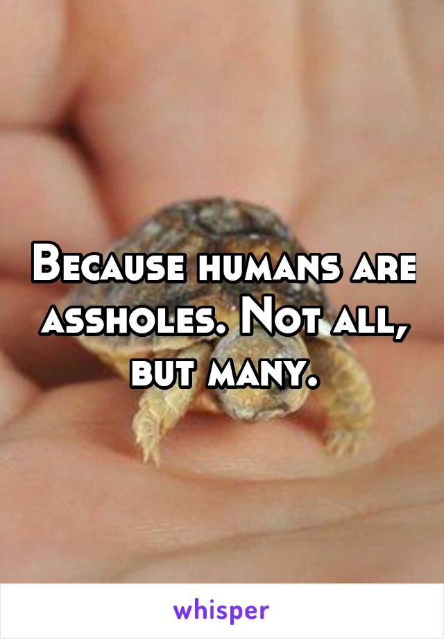 Because humans are assholes. Not all, but many.