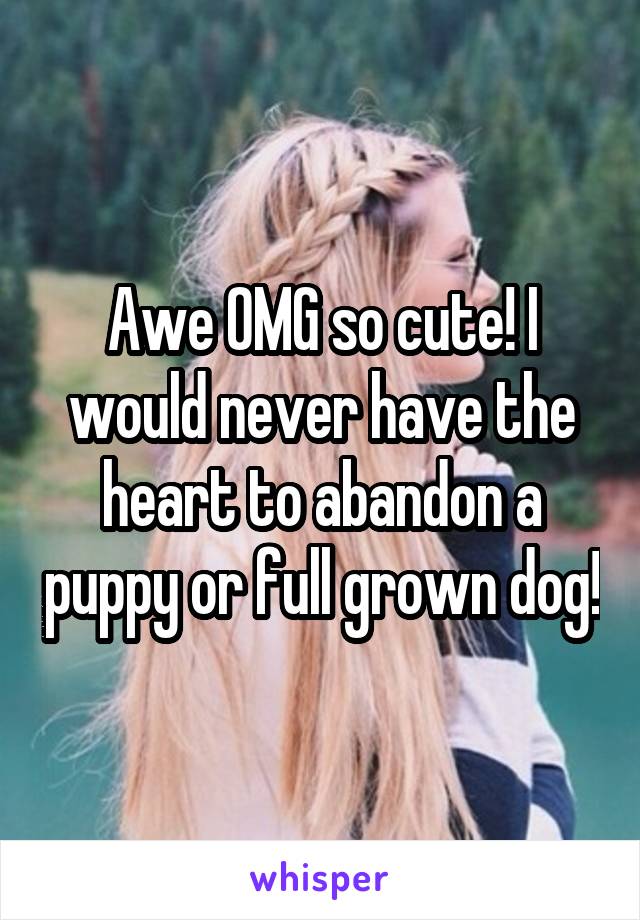 Awe OMG so cute! I would never have the heart to abandon a puppy or full grown dog!