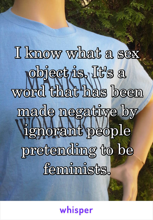 I know what a sex object is. It's a word that has been made negative by ignorant people pretending to be feminists.