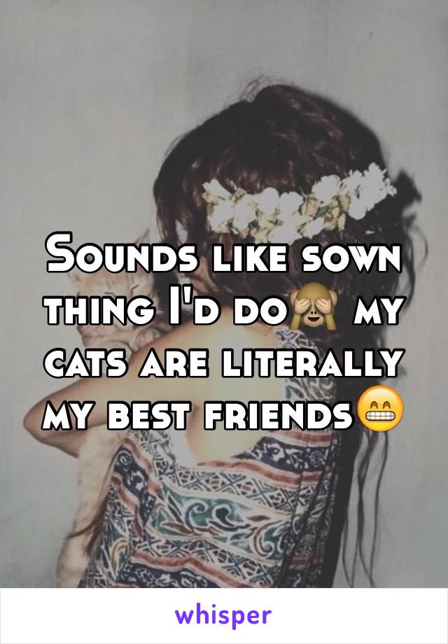 Sounds like sown thing I'd do🙈 my cats are literally my best friends😁 