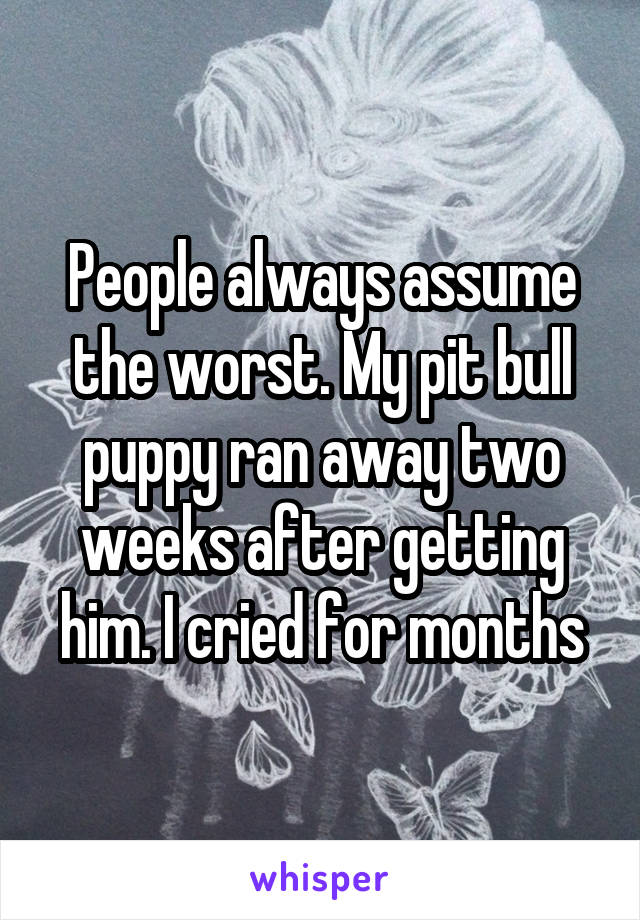 People always assume the worst. My pit bull puppy ran away two weeks after getting him. I cried for months